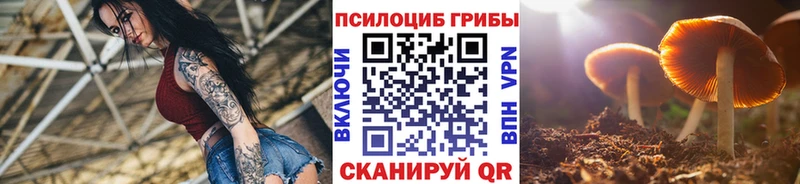 продажа наркотиков Десногорск Галлюциногенные грибы Cubensis